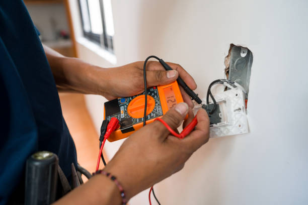 Best Home Electrical Repair  in Johnson Lane, NV