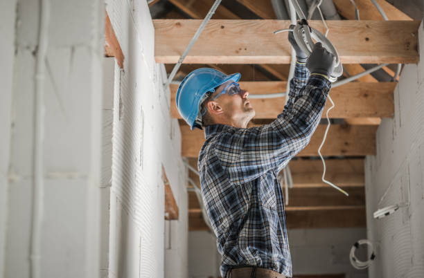Best Local Electrician Companies  in Johnson Lane, NV