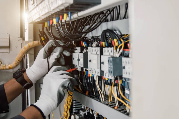 Best Electrical Repair Services  in Johnson Lane, NV